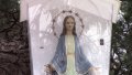 180407virgenpino.png